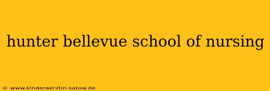 hunter bellevue school of nursing