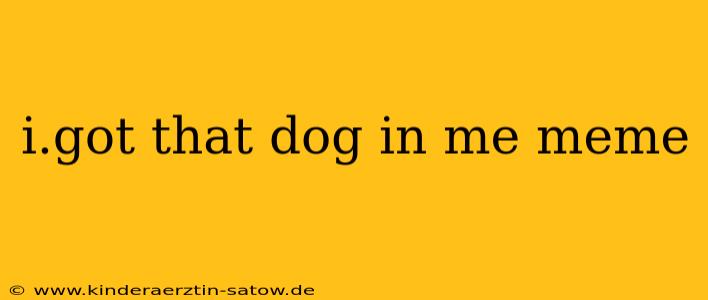 i.got that dog in me meme