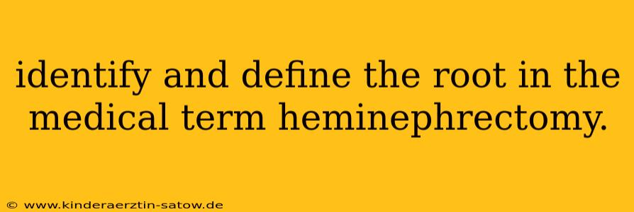 identify and define the root in the medical term heminephrectomy.