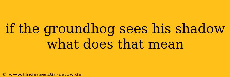 if the groundhog sees his shadow what does that mean