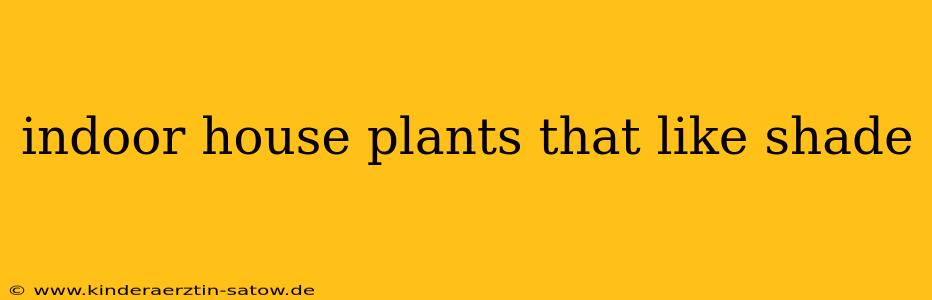 indoor house plants that like shade