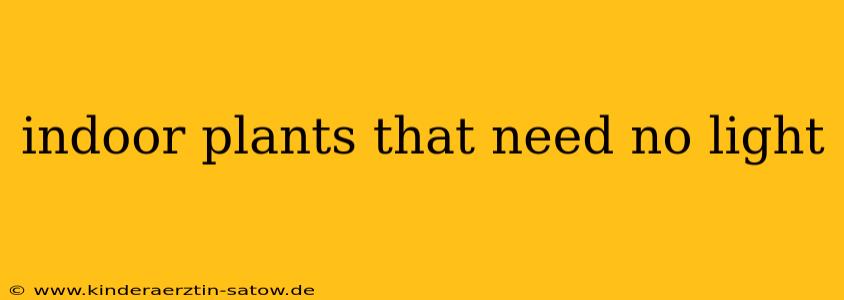 indoor plants that need no light