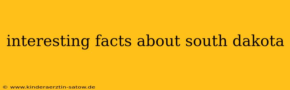 interesting facts about south dakota