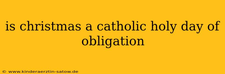 is christmas a catholic holy day of obligation