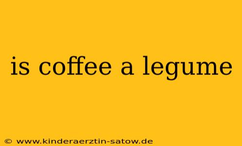 is coffee a legume