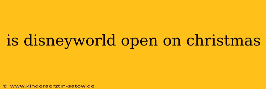 is disneyworld open on christmas
