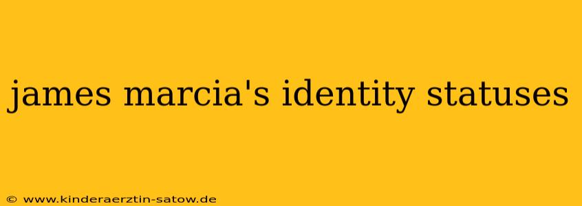 james marcia's identity statuses