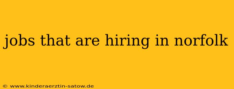 jobs that are hiring in norfolk