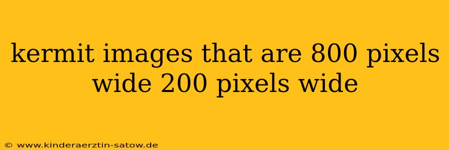 kermit images that are 800 pixels wide 200 pixels wide