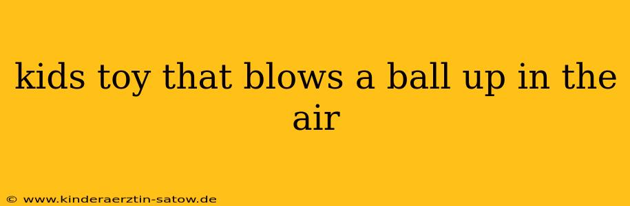 kids toy that blows a ball up in the air