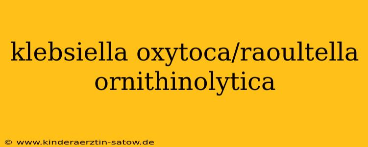 klebsiella oxytoca/raoultella ornithinolytica