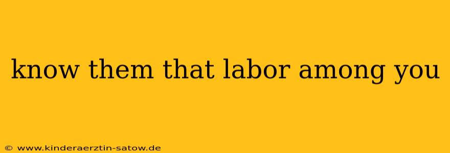 know them that labor among you