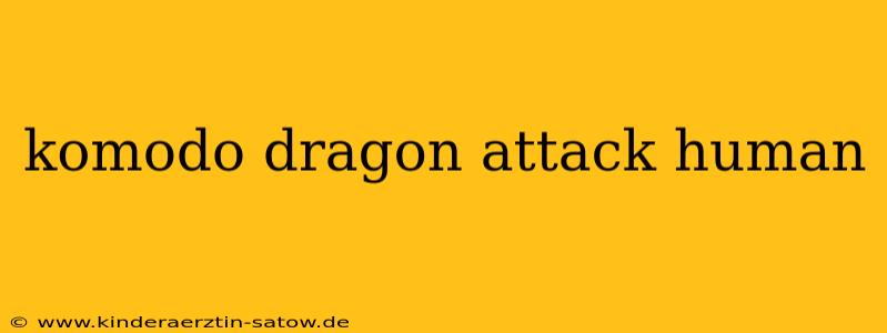 komodo dragon attack human