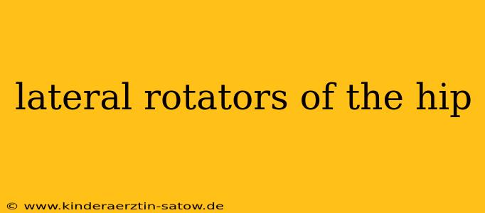 lateral rotators of the hip