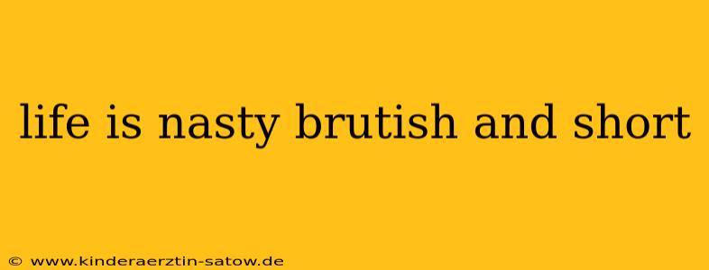 life is nasty brutish and short