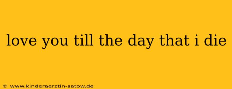love you till the day that i die