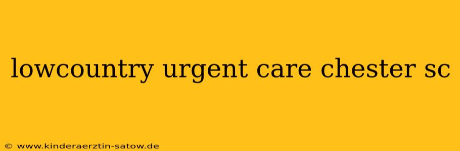 lowcountry urgent care chester sc