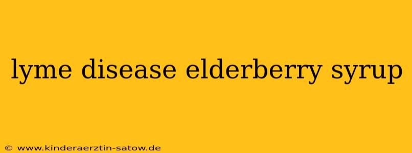lyme disease elderberry syrup