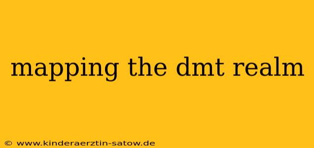 mapping the dmt realm