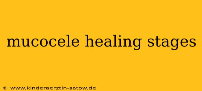 mucocele healing stages