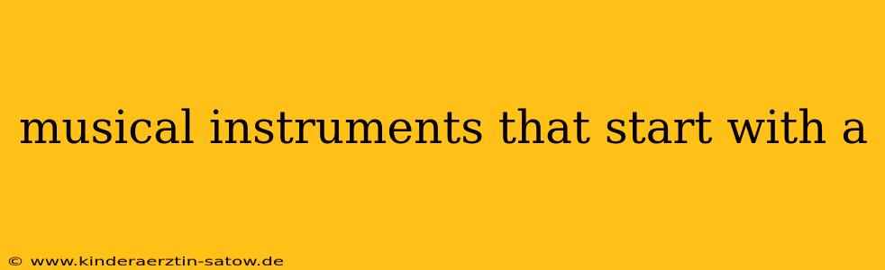 musical instruments that start with a
