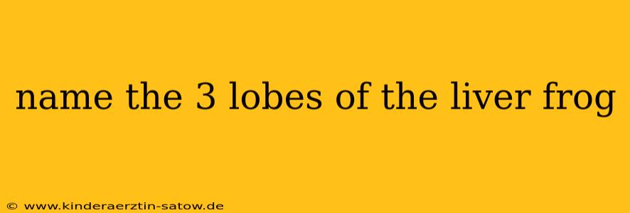 name the 3 lobes of the liver frog