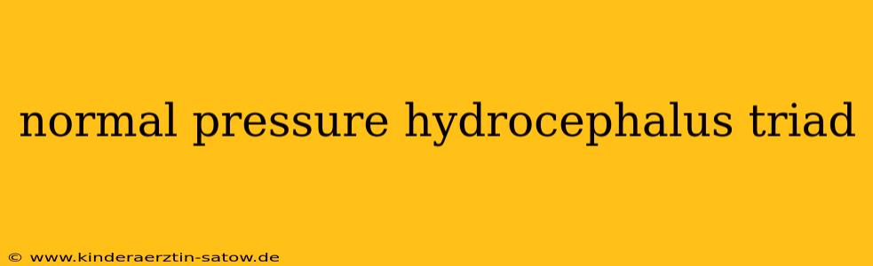 normal pressure hydrocephalus triad