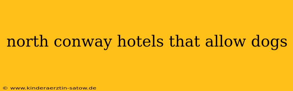 north conway hotels that allow dogs