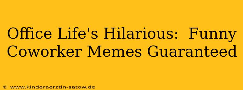 Office Life's Hilarious:  Funny Coworker Memes Guaranteed