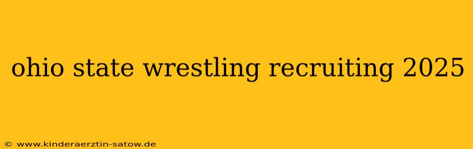 ohio state wrestling recruiting 2025