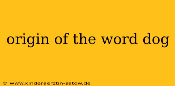 origin of the word dog