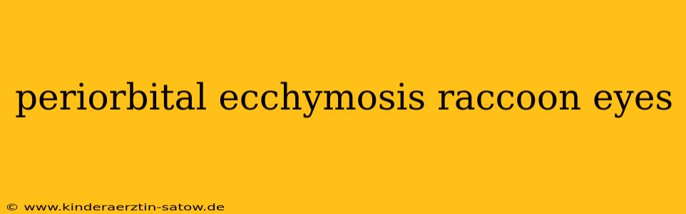 periorbital ecchymosis raccoon eyes