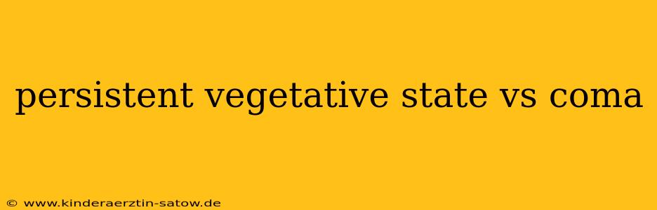 persistent vegetative state vs coma