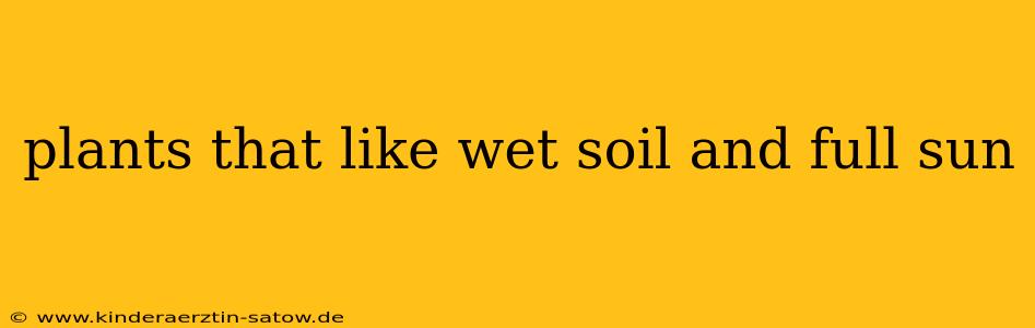 plants that like wet soil and full sun