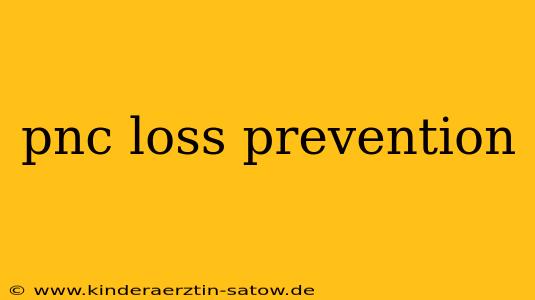 pnc loss prevention