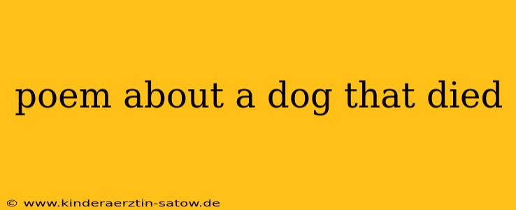poem about a dog that died
