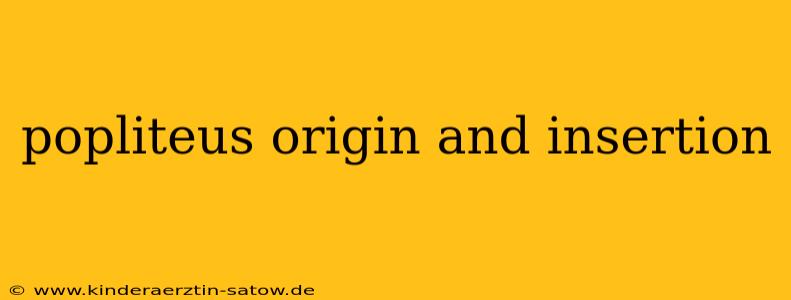 popliteus origin and insertion