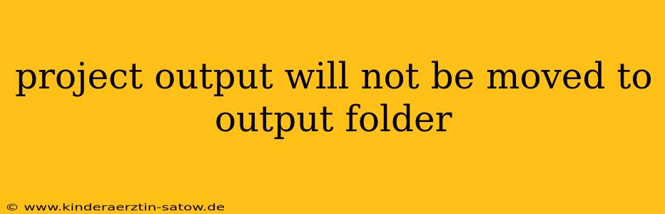project output will not be moved to output folder