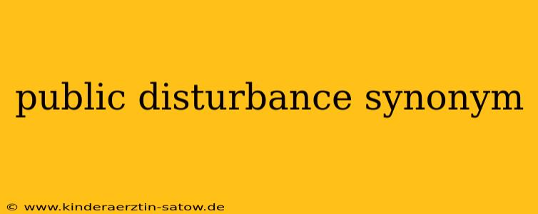 public disturbance synonym