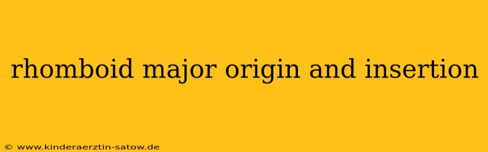 rhomboid major origin and insertion