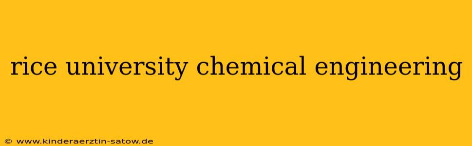 rice university chemical engineering