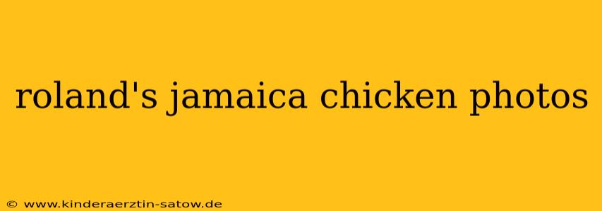 roland's jamaica chicken photos
