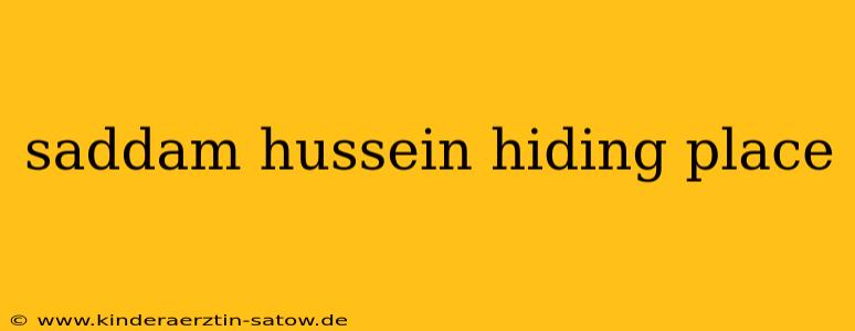 saddam hussein hiding place