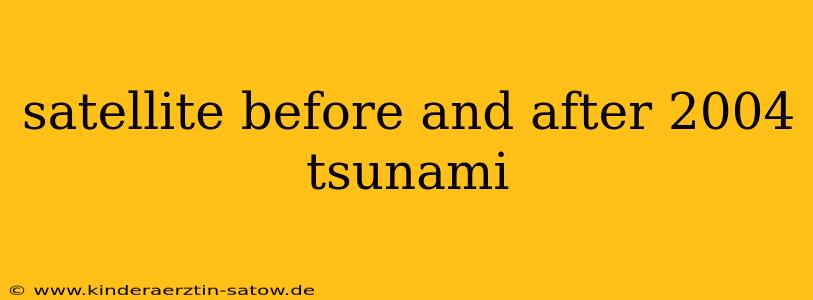 satellite before and after 2004 tsunami