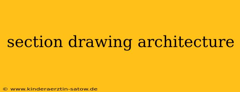 section drawing architecture