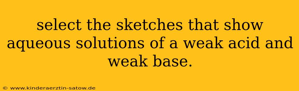 select the sketches that show aqueous solutions of a weak acid and weak base.