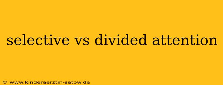 selective vs divided attention