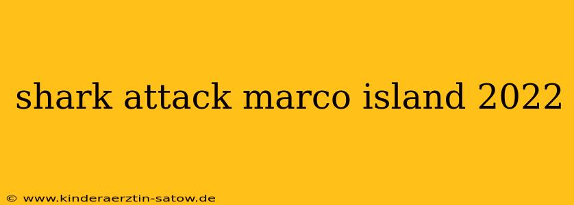 shark attack marco island 2022