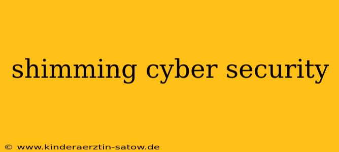 shimming cyber security