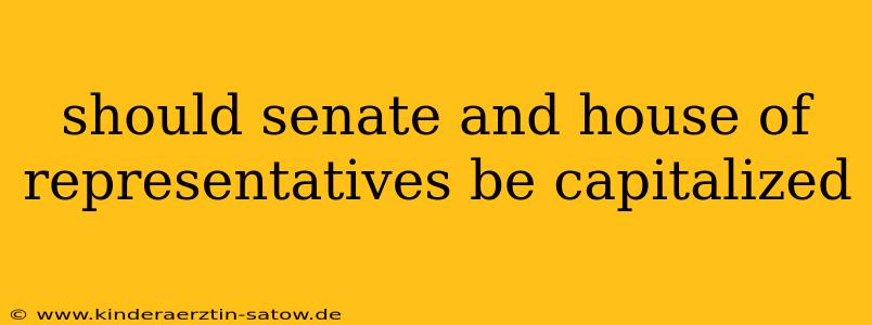 should senate and house of representatives be capitalized